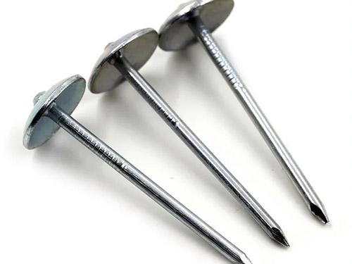 Roofing Nail 